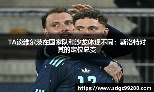 2026年世界杯官网